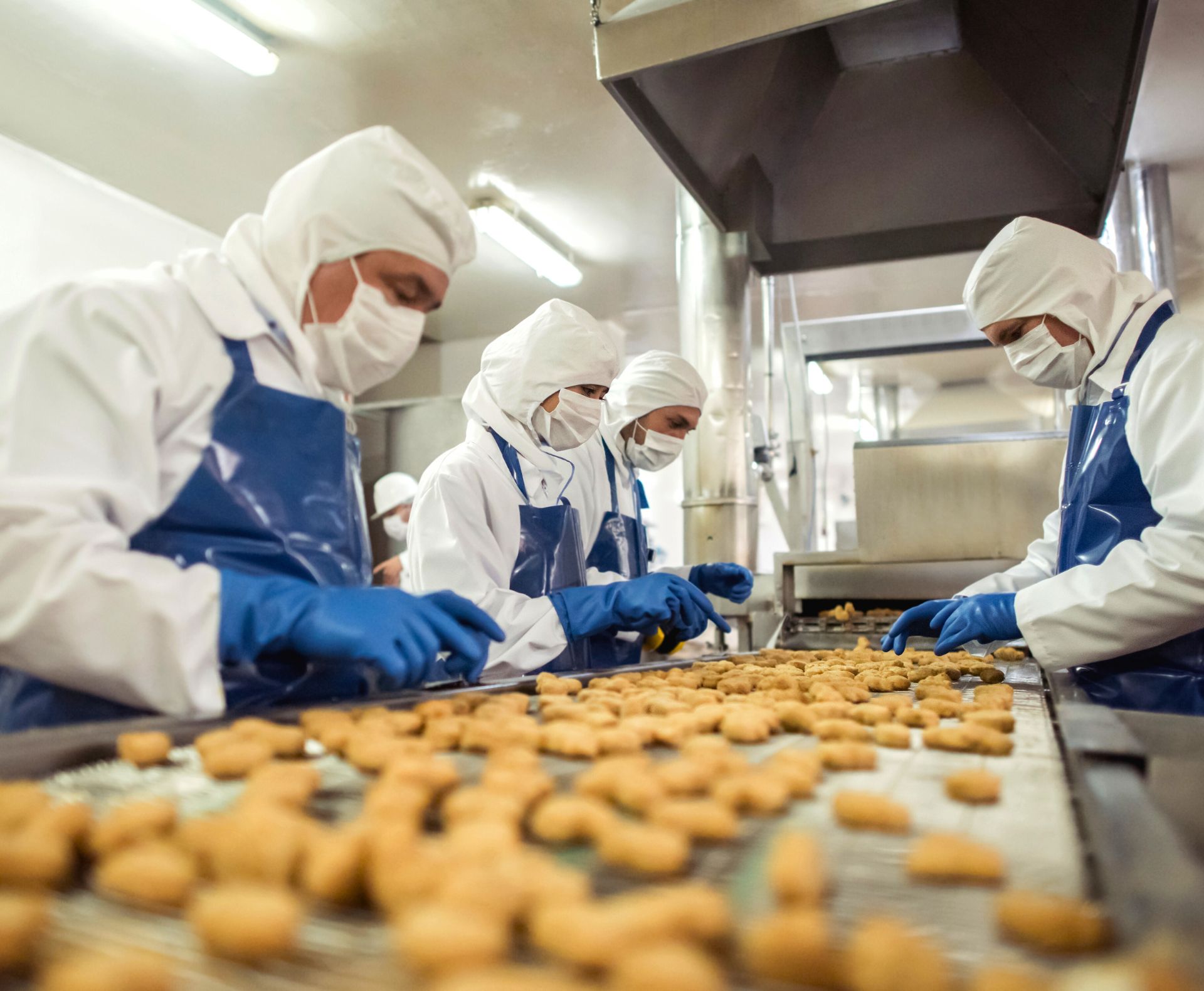 Factory Frying and Oil Temperatures